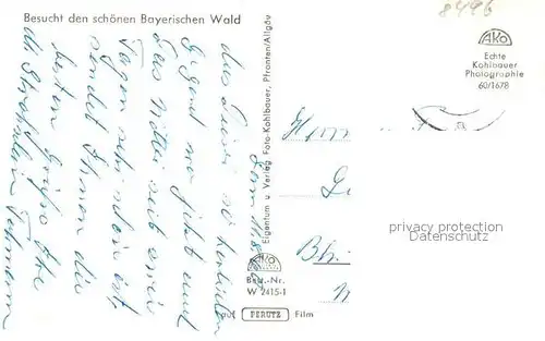 AK / Ansichtskarte Lam_Oberpfalz mit Hohenbogen Lam_Oberpfalz