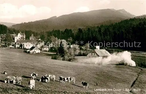 AK / Ansichtskarte Lambach_Lam mit Osser Lambach_Lam