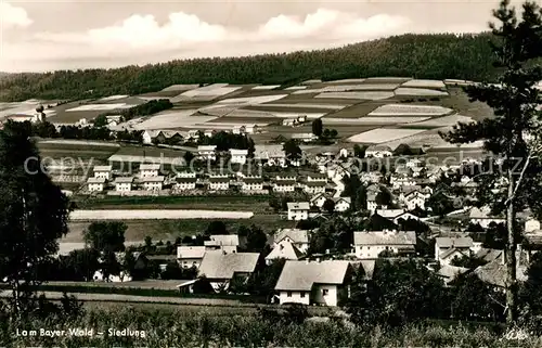 AK / Ansichtskarte Lam_Oberpfalz Siedlung Lam_Oberpfalz