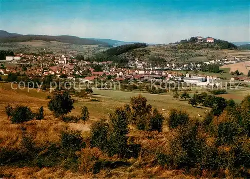 AK / Ansichtskarte Reichelsheim_Odenwald Panorama Reichelsheim Odenwald