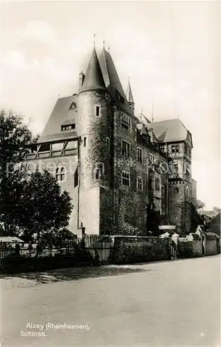 AK / Ansichtskarte Alzey Schloss Trinks Postkarte Alzey