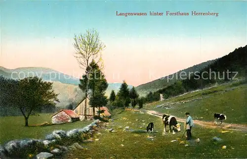 AK / Ansichtskarte Langenwasen Forsthaus Herrenberg Panorama Langenwasen