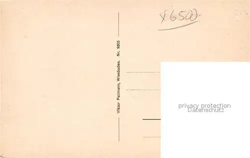 AK / Ansichtskarte Mainz_Rhein Totalansicht Mainz Rhein