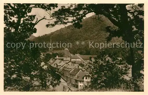 AK / Ansichtskarte Ilfeld_Suedharz Teilansicht Ilfeld Suedharz