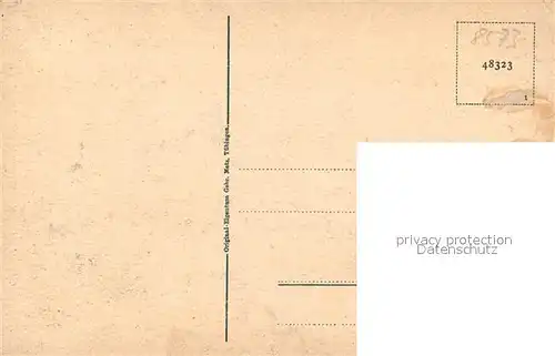 AK / Ansichtskarte Pottenstein_Oberfranken Panorama mit Burg Pottenstein_Oberfranken