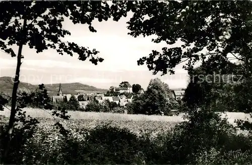 AK / Ansichtskarte Henfenfeld Panorama Henfenfeld