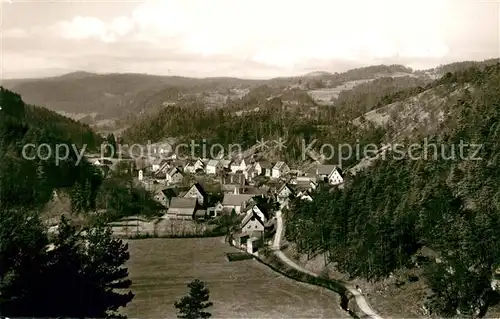 AK / Ansichtskarte Hirschbach_Oberpfalz Panorama Hirschbach Oberpfalz