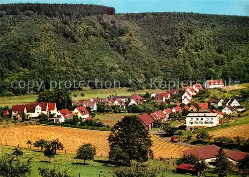 AK / Ansichtskarte Bad_Karlshafen Birkenbusch Egerlandsiedlung Bad_Karlshafen
