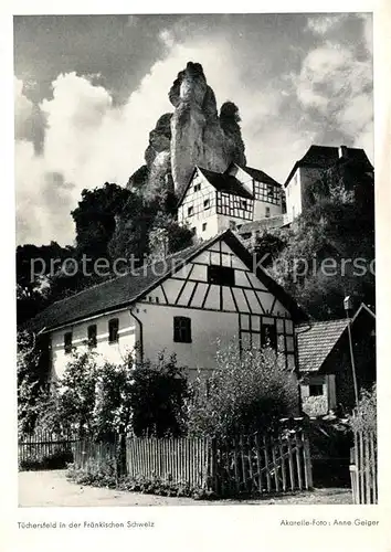 AK / Ansichtskarte Tuechersfeld Haus am Berg Tuechersfeld