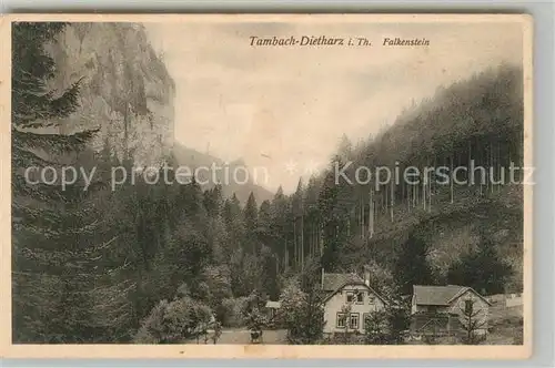 AK / Ansichtskarte Tambach Dietharz Falkenstein Tambach Dietharz