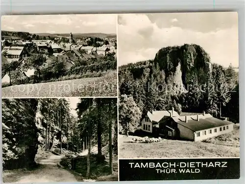 AK / Ansichtskarte Tambach Dietharz Panorama Waldweg Felsen Tambach Dietharz
