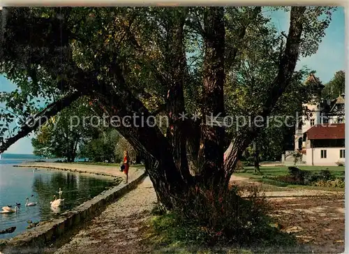 AK / Ansichtskarte Herrsching_Ammersee Seepromenade Herrsching Ammersee