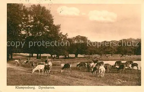 AK / Ansichtskarte Dyrehaven Klampenborg Dyrehaven