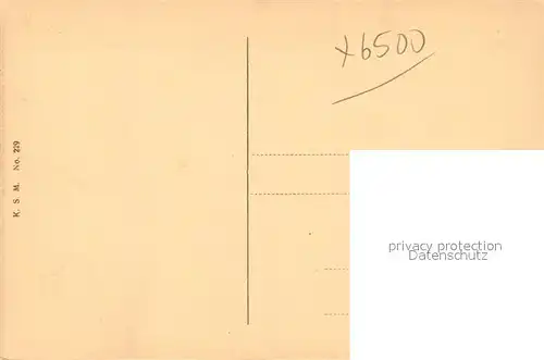 AK / Ansichtskarte Mainz_Rhein Kaiserstrasse Mainz Rhein