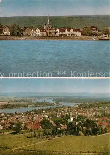 AK / Ansichtskarte Nierstein_Rhein Panorama Blick ueber den Rhein Nierstein_Rhein