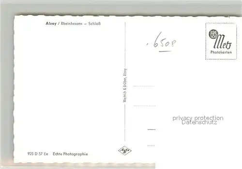 AK / Ansichtskarte Alzey Schloss Alzey
