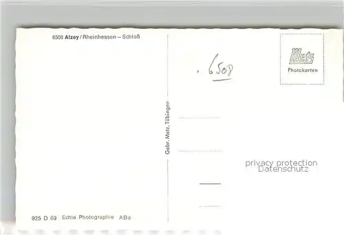 AK / Ansichtskarte Alzey Schloss Alzey