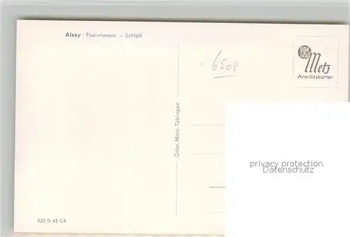 AK / Ansichtskarte Alzey Schloss Alzey