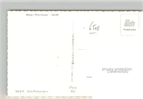 AK / Ansichtskarte Alzey Schloss Alzey