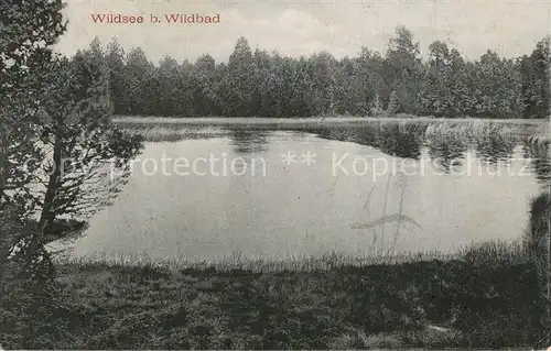 AK / Ansichtskarte Wildbad_Schwarzwald Wildsee Wildbad_Schwarzwald