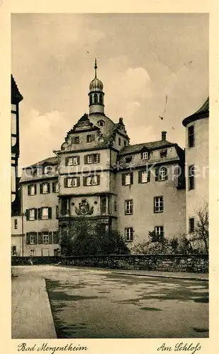 AK / Ansichtskarte Bad_Mergentheim Am Schloss Bad_Mergentheim