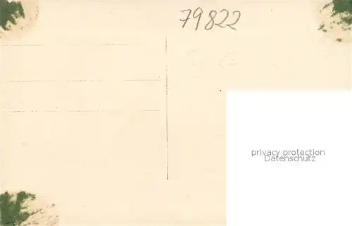 AK / Ansichtskarte Neustadt_Schwarzwald Panorama Neustadt_Schwarzwald