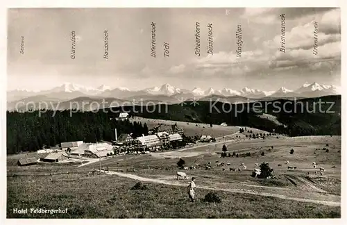 AK / Ansichtskarte Feldberg_Schwarzwald Hotel Feldbergerhof Feldberg Schwarzwald