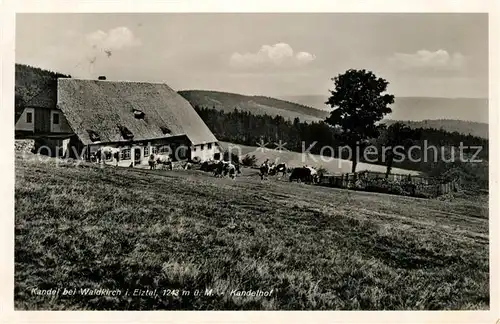 AK / Ansichtskarte Kandel_Breisgau Kandelhof Kandel Breisgau