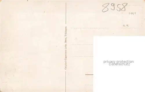 AK / Ansichtskarte Fuessen_Allgaeu Panoramakarte mit Neuschwanstein Fuessen Allgaeu