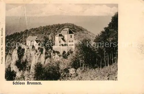 AK / Ansichtskarte Fridingen_Donau Schloss Bronnen Fridingen Donau