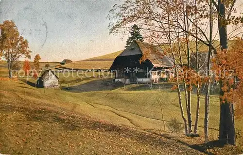 AK / Ansichtskarte Nussbach_Schwarzwald Panorama Schwarzwaldhaus Nussbach Schwarzwald