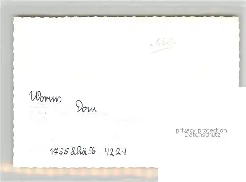 AK / Ansichtskarte Worms_Rhein Blick zum Dom Worms Rhein