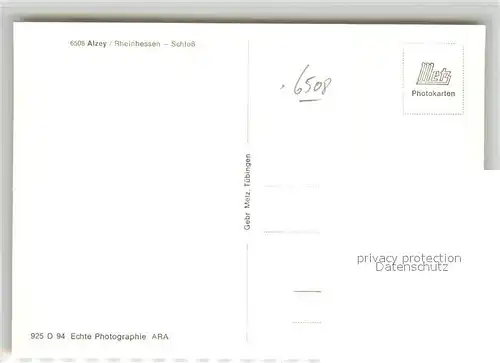 AK / Ansichtskarte Alzey Schloss Alzey