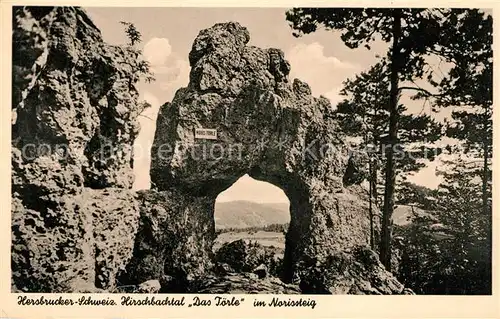 AK / Ansichtskarte Hersbruck Hirschbachtal Das Toerle im Norissteig Hersbruck