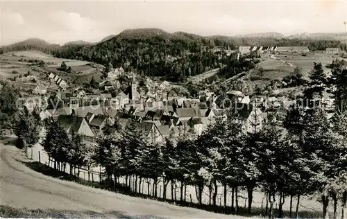 AK / Ansichtskarte Velden_Mittelfranken Siedlung mit Burg Hartenstein Velden Mittelfranken