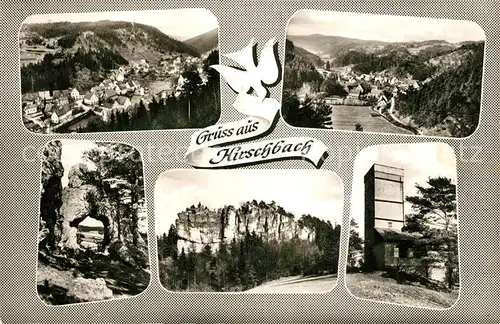 AK / Ansichtskarte Hirschbach_Oberpfalz Teilansichten Hirschbach Oberpfalz