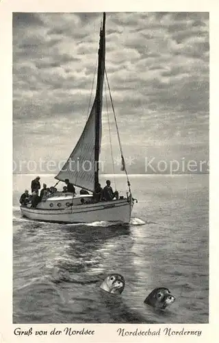 AK / Ansichtskarte Norderney_Nordseebad Segelpartie mit Robben Norderney_Nordseebad