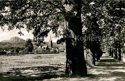 AK / Ansichtskarte Bad_Driburg Allee mit Iburg Bad_Driburg