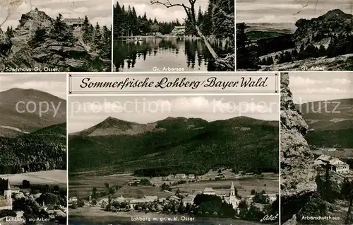 AK / Ansichtskarte Lohberg_Lam Schutzhaus Gr Osser Gr Arbersee Arber Panorama Arberschutzhaus Lohberg_Lam