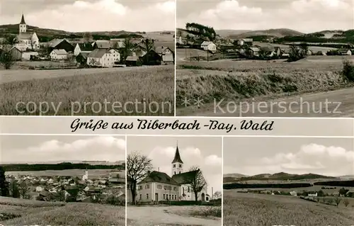 AK / Ansichtskarte Biberbach_Waldmuenchen Panorama Kirche Biberbach Waldmuenchen