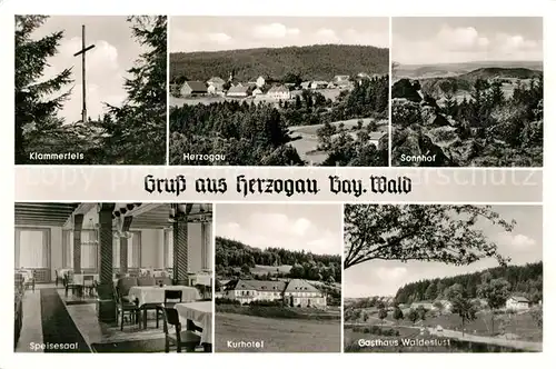 AK / Ansichtskarte Herzogau_Waldmuenchen Klammerfels Panorama Sonnhof Speisesaal Kurhotel Gasthaus Waldeslust Herzogau Waldmuenchen