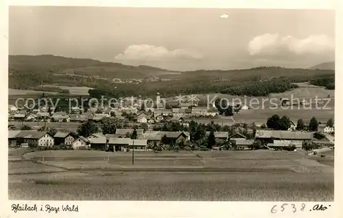 AK / Ansichtskarte Blaibach Panorama Blaibach
