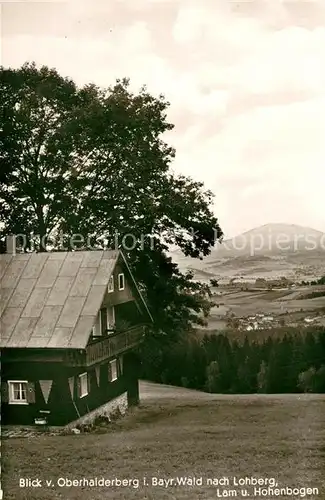 AK / Ansichtskarte Lohberg_Lam Blick vom Oberhaiderberg mit Hohenbogen und Pension Pfeffer Lohberg_Lam
