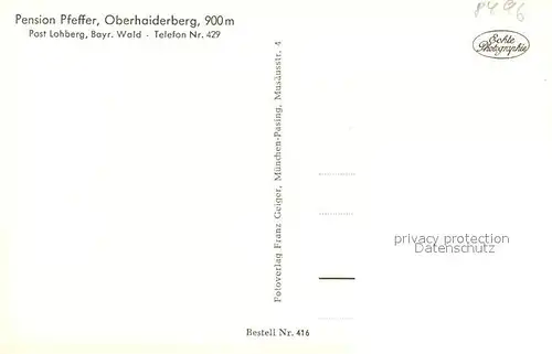 AK / Ansichtskarte Lohberg_Lam Blick vom Oberhaiderberg mit Hohenbogen und Pension Pfeffer Lohberg_Lam