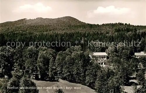 AK / Ansichtskarte Neukirchen_Heilig_Blut Pension Waldschloess mit Hohen Bogen Neukirchen_Heilig_Blut