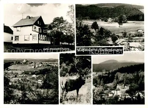 AK / Ansichtskarte Finsterbergen Cafe Waldschloesschen Panorama Hirsch Finsterbergen