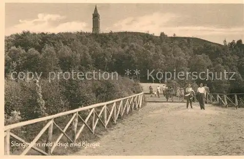 AK / Ansichtskarte Slagelse Slangesten Panorama Slagelse