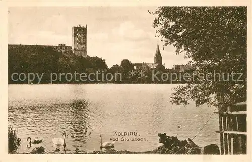 AK / Ansichtskarte Kolding Slotsoeen Schwaene Kolding