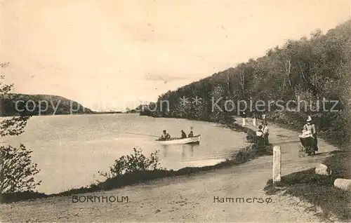 AK / Ansichtskarte Bornholm Hammerso Bornholm
