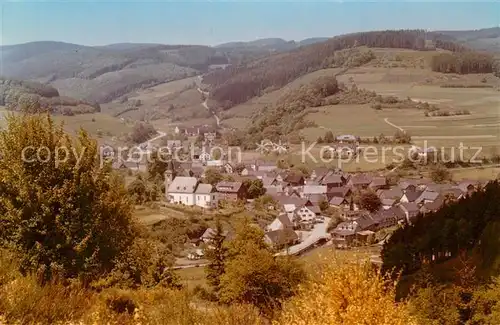 AK / Ansichtskarte Elsoff_Wittgenstein Panorama Elsoff_Wittgenstein